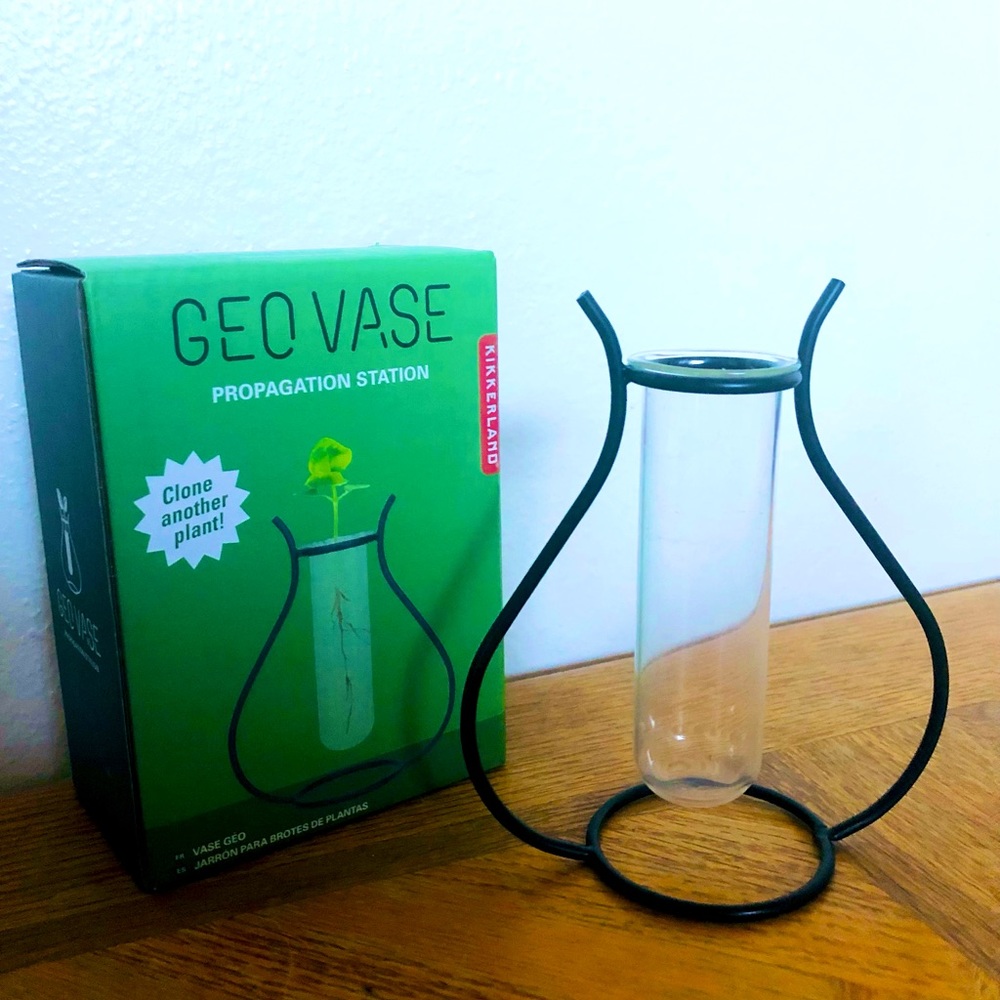 Geo Vase🔵